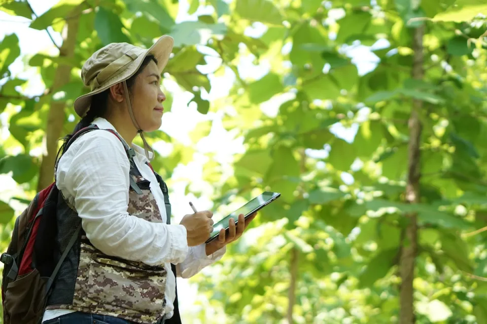 Woman in forest looking at plants and documenting on tablet.